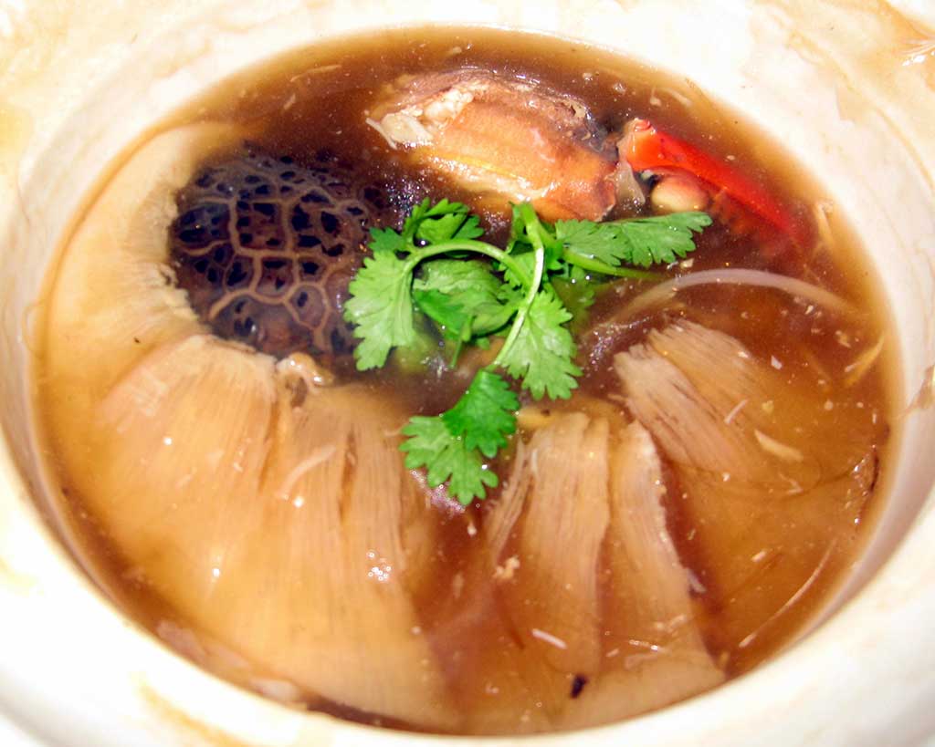 Shark Fin Soup