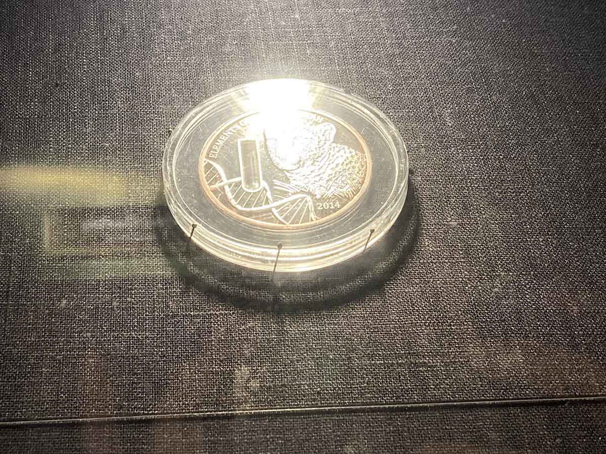 Cheetah DNA-embedded coin. Sorry for the glare. You should come and see it by yourself.