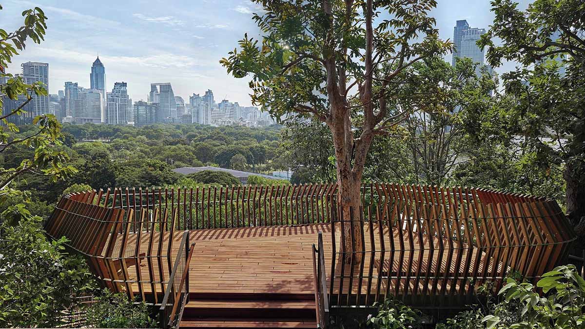 Bird Nest Viewpoint.