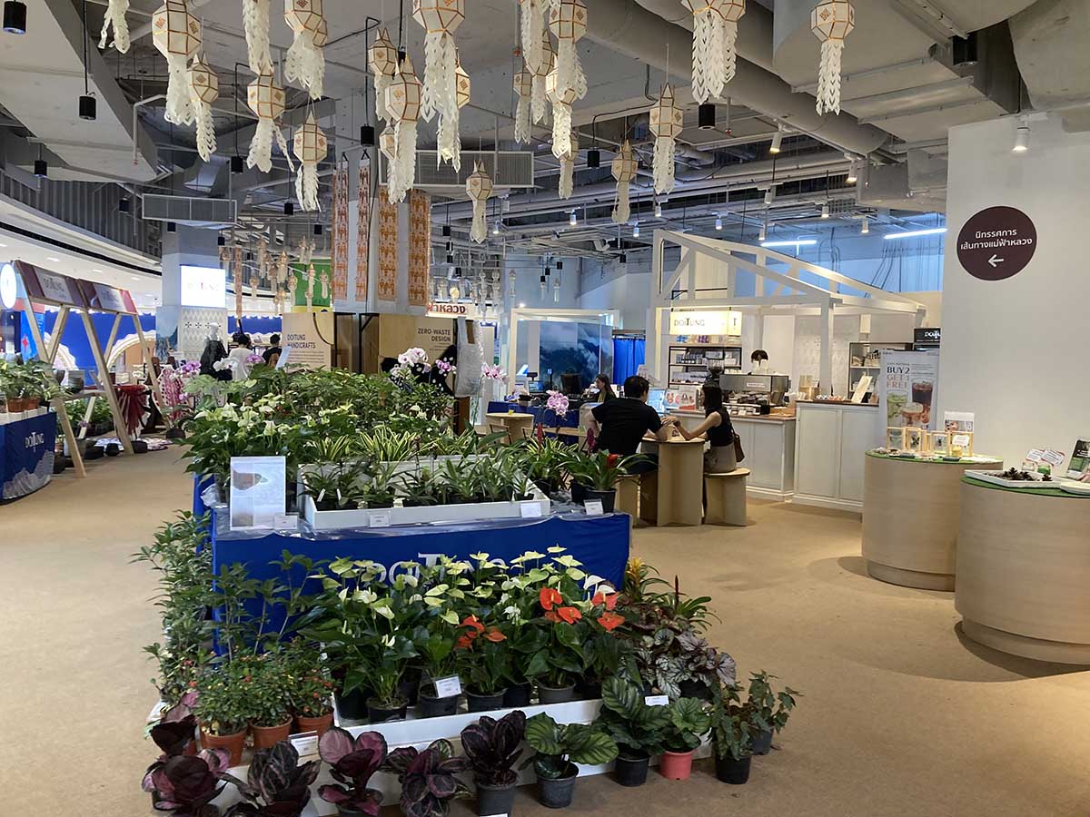 Doi Tung shop is offering real plants.