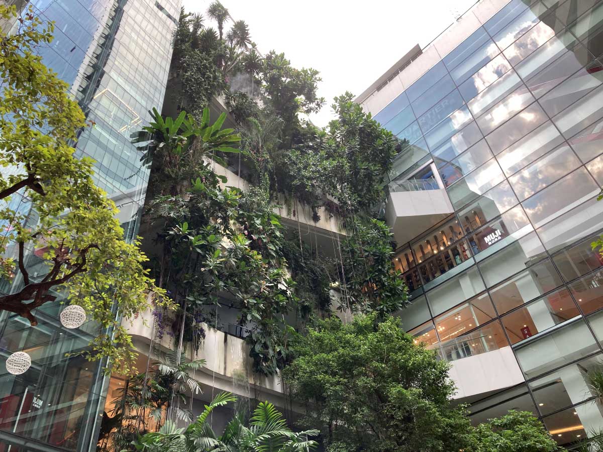 The Quartier Fall from the ground floor.